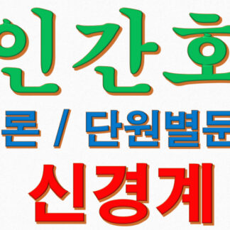 성인간호학 각론 신경계